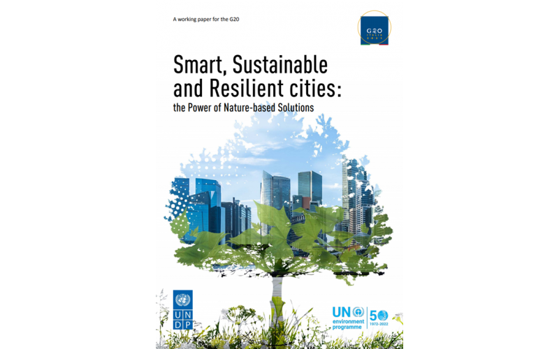 Smart, Sustainable and Resilient cities: the Power of Nature-based